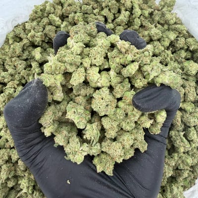 Exotic Smalls: Black Cherry Gelato