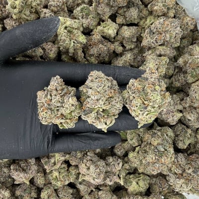 Peanut Butter Gelato