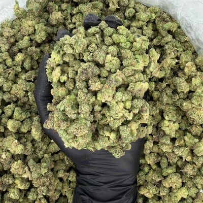 Exotic Smalls: Sour Runtz